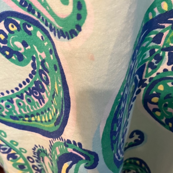 Lilly Pulitzer Dress - Picture 9 of 11